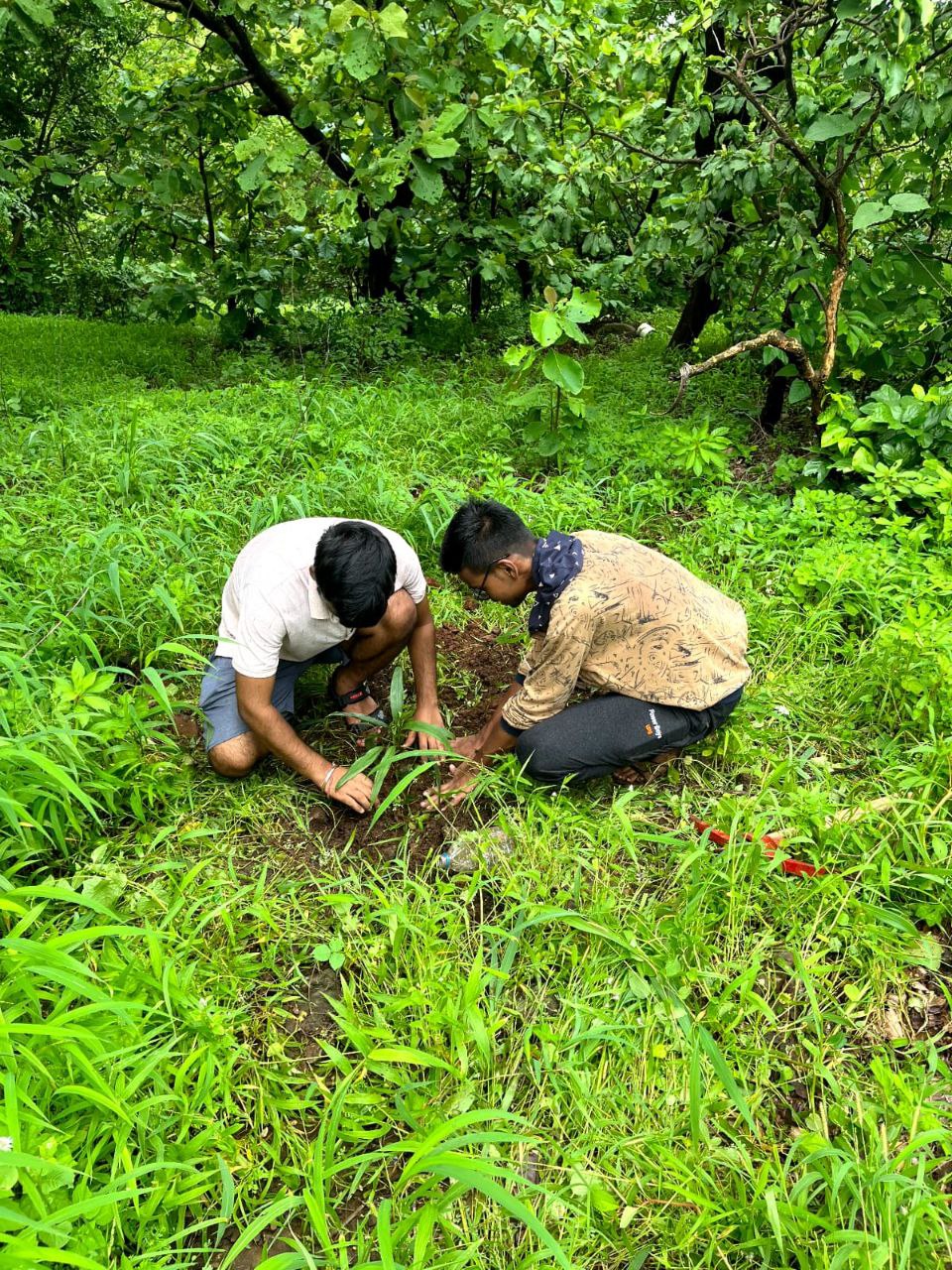Earthmai plantation drive